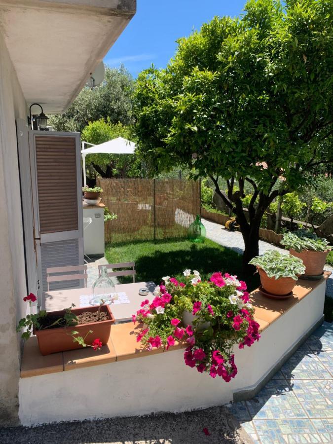 B&B Blanda Maratea Exterior foto